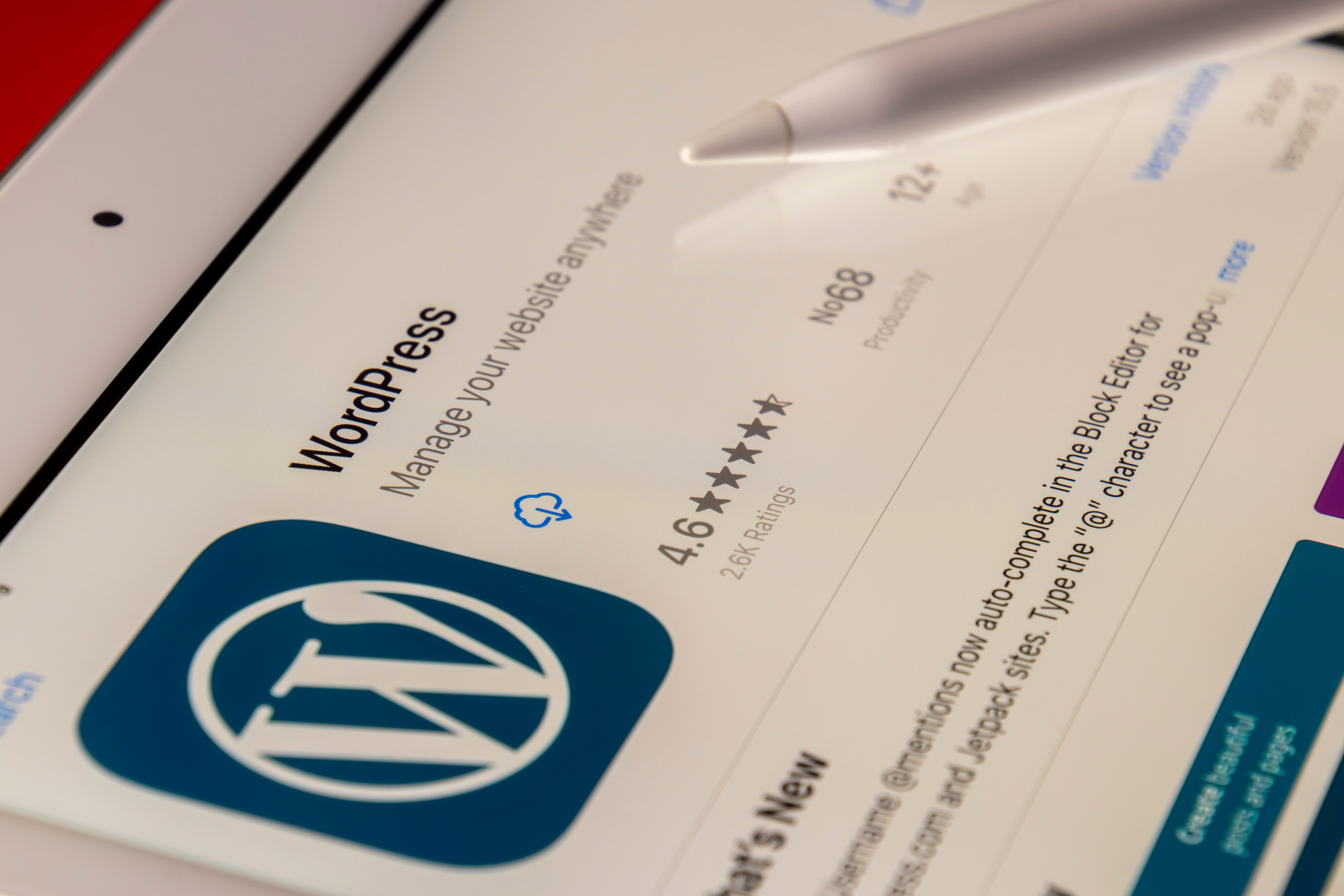 Diving into Website Development: A Beginner's Guide to Using Wordpress